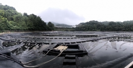 人生就是博·(中国) - 官方网站